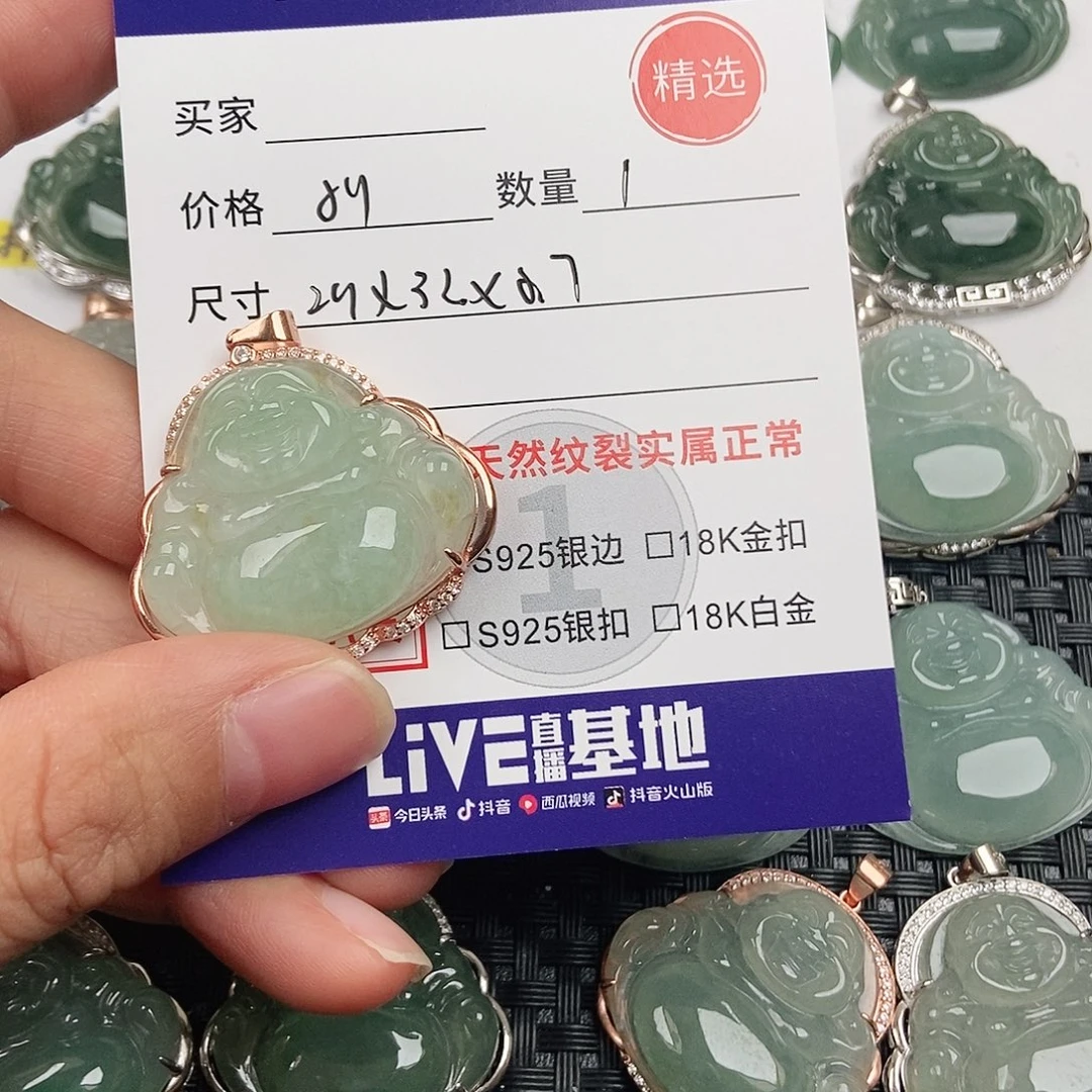 翡翠银S925镶嵌颈饰