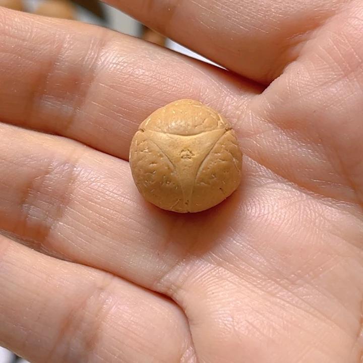 新***叔吊坠凤眼菩提15龙眼单籽，86@0519