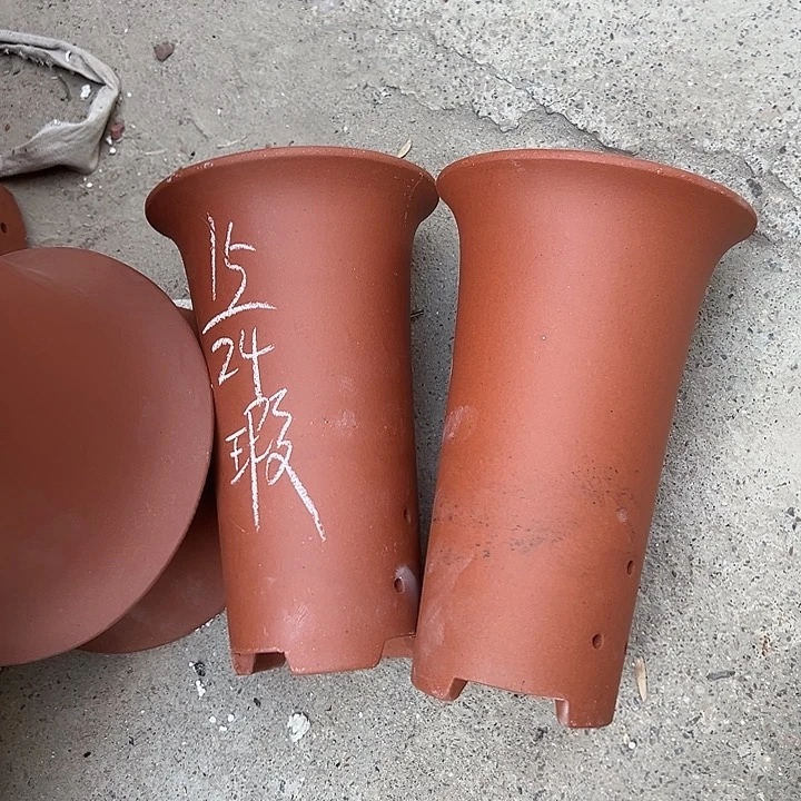 周三周四试试再说