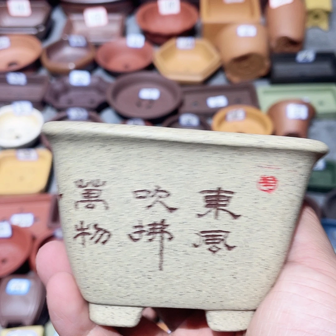 紫砂小盆8*5.5cmmmmm