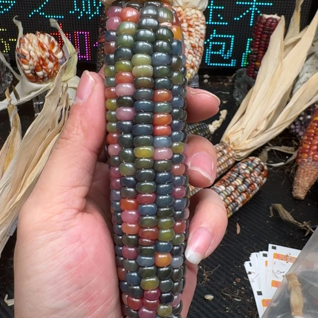 柏香籽/百香籽吊坠米*