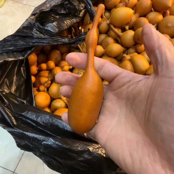 周*_周末的一把一把杆子，蚂蚁葫芦