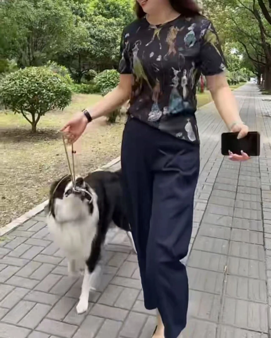 新款短袖修身印花休闲阔腿裤显瘦女装