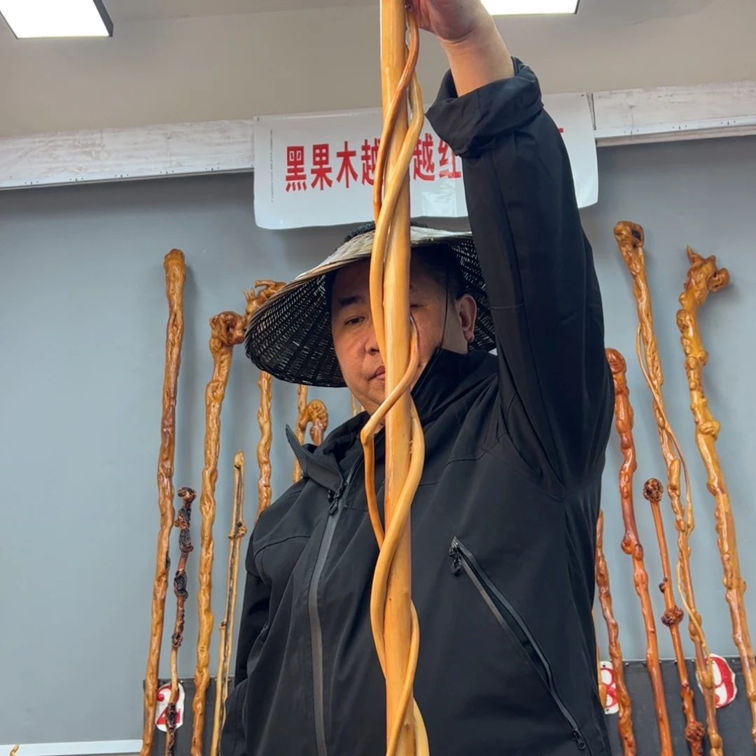 黑果木其他康*玲黑果木7022