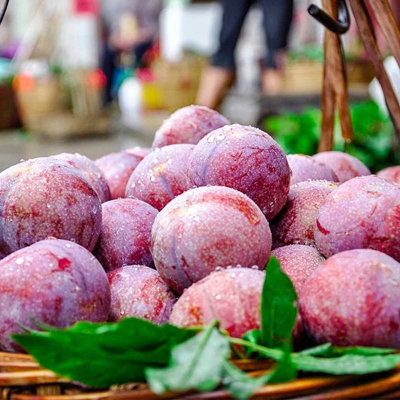 正宗茂名信宜钱排贵妃红心三华李新鲜红心李现摘现发李子酸甜脆口