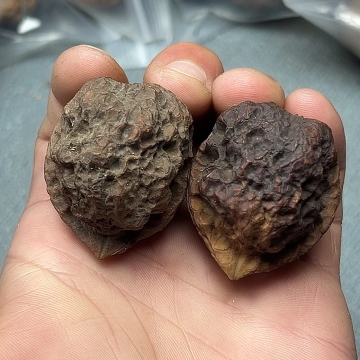 把件文玩核桃88号七彩妖将42尺