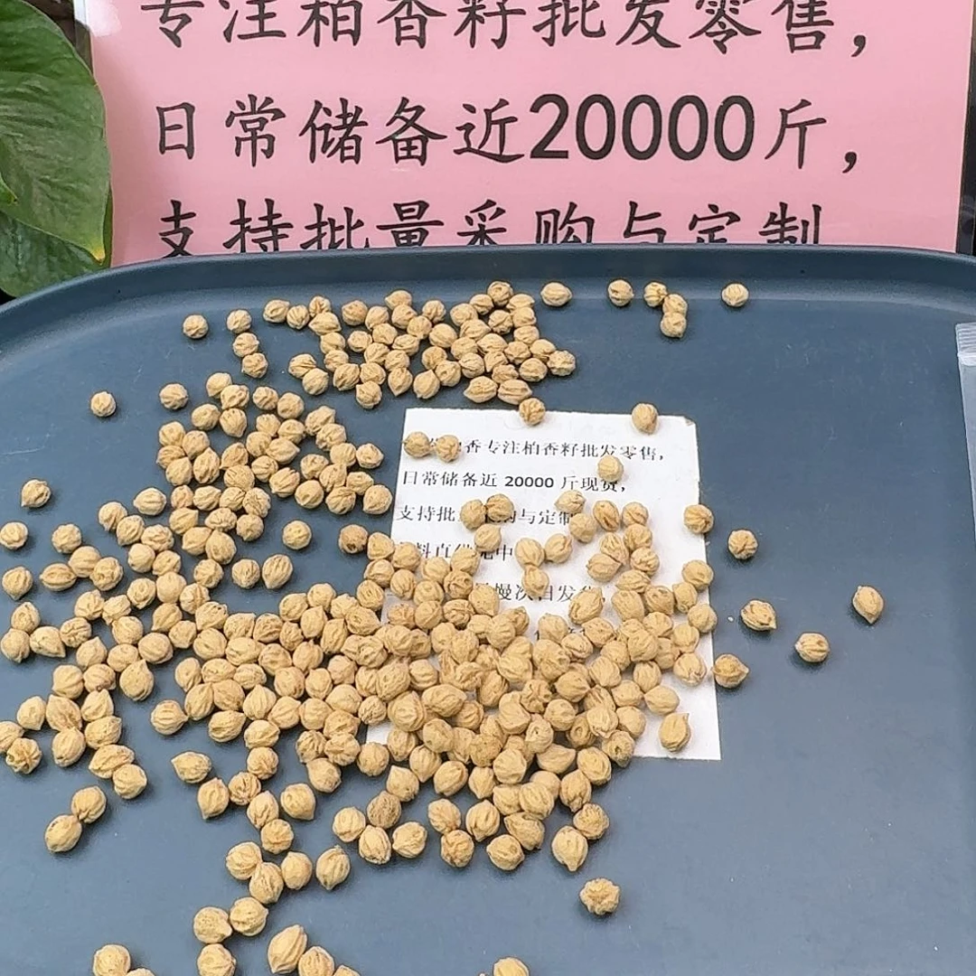 柏香籽/百香籽吊坠895号6.5+53克H8010