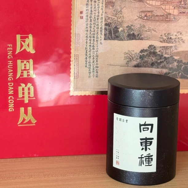 【精品口粮小众款】2025春凤凰单丛向东种50g
