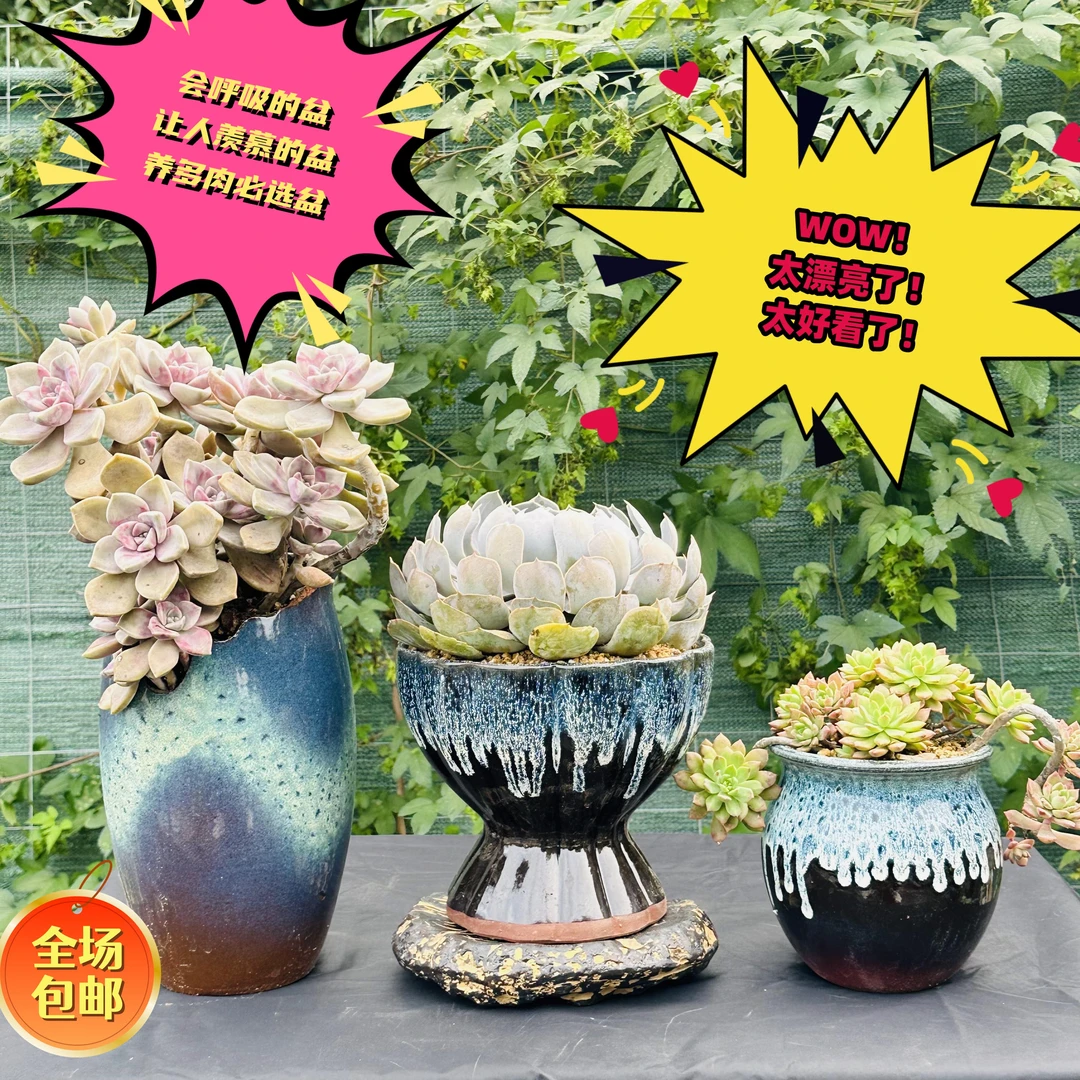 宜兴复古粗陶老桩兰花陶罐三角梅大口径多肉盆陶瓷透气花盆