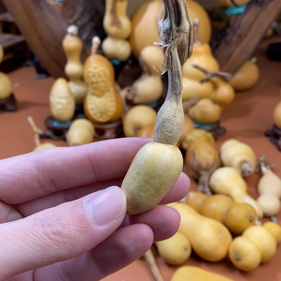 略***胖教练教练教练教练
