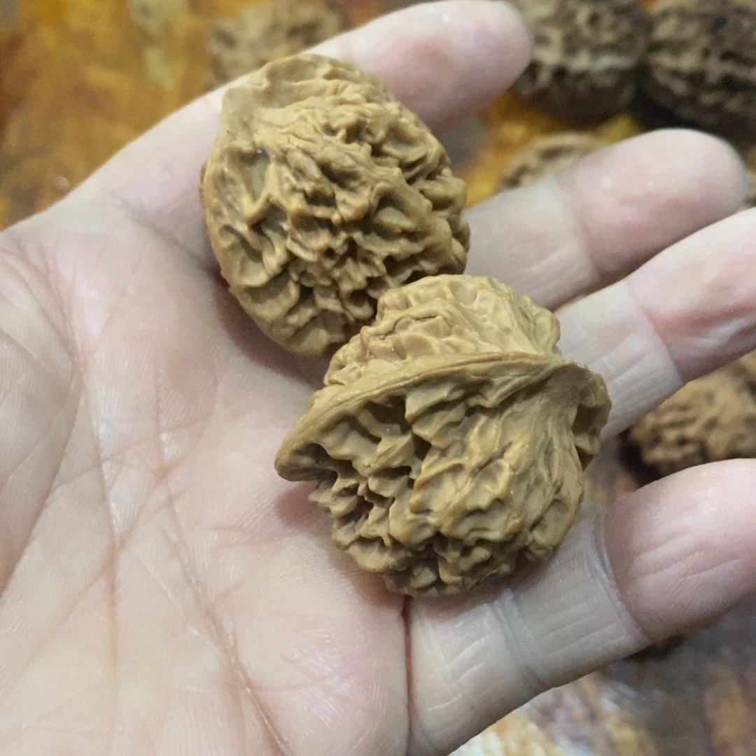 胖*秦岭南侧和东北北部分别