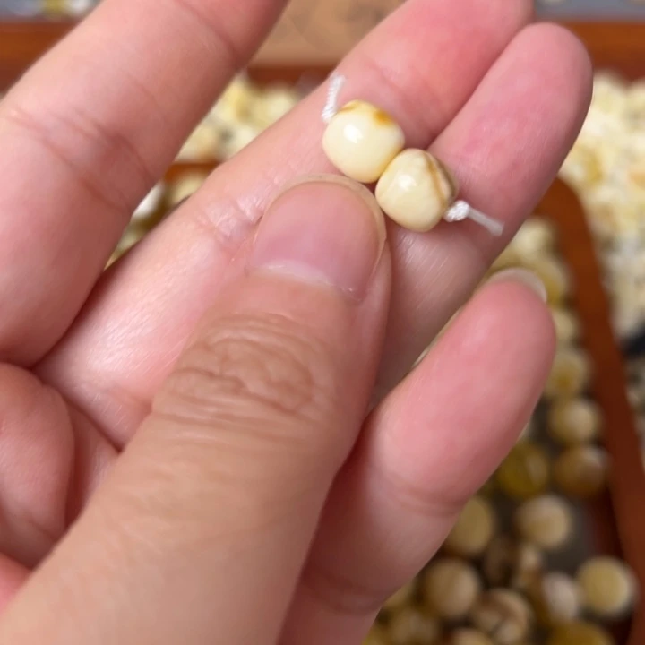 蜜蜡未镶嵌裸石7.5mm一对