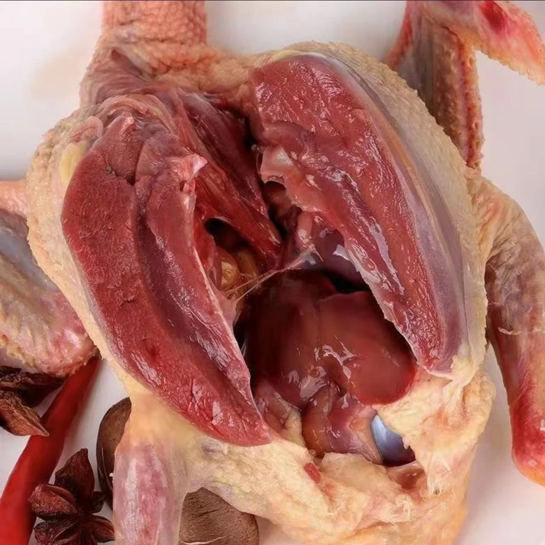 【拍2送4】农家散养土鸽子新鲜现杀 带内脏急冻锁鲜xx