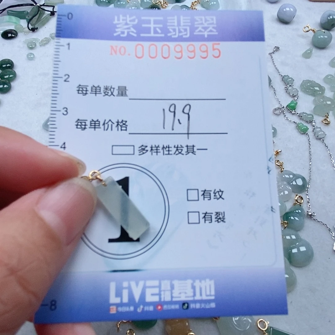 翡翠未镶嵌颈饰冰追随行