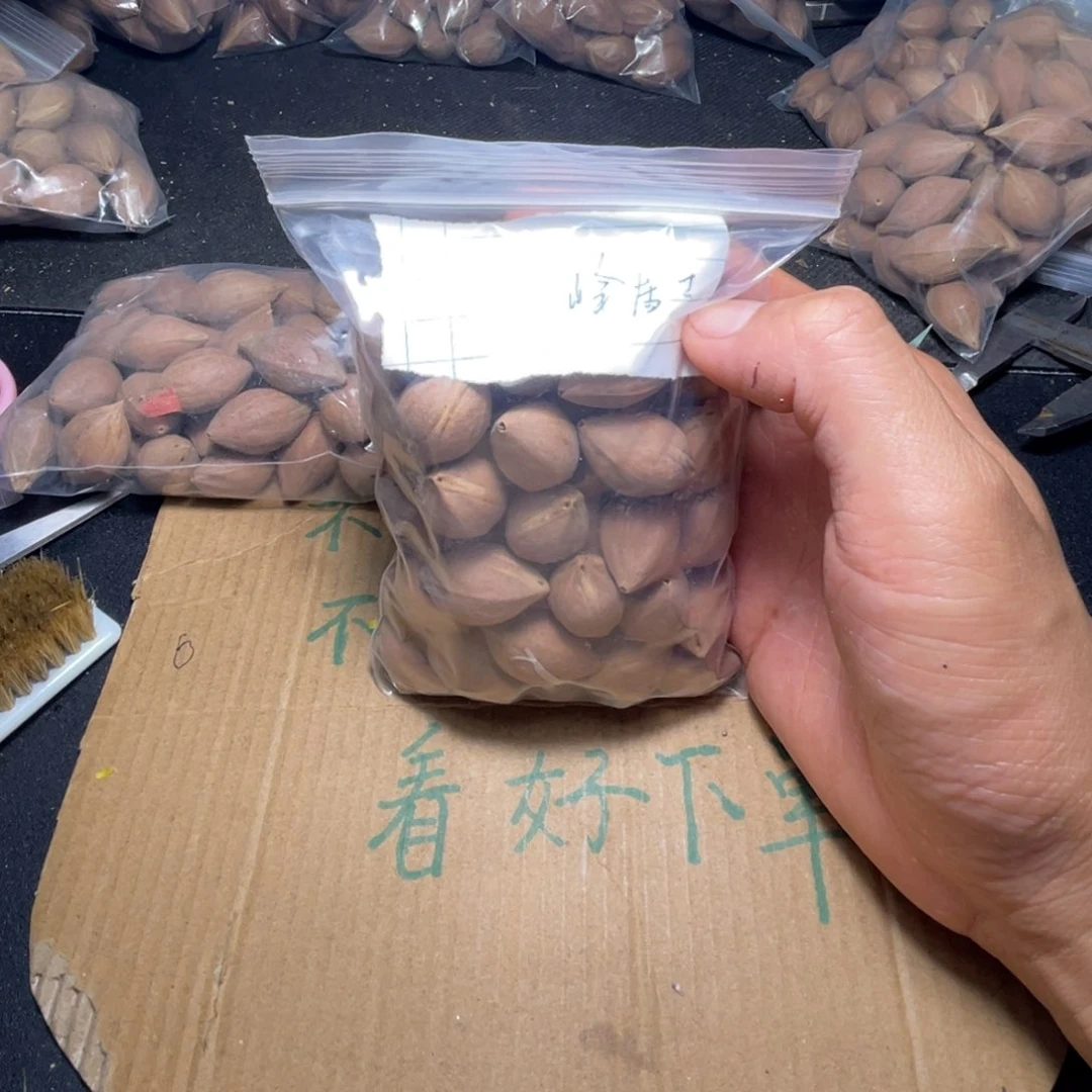 炎**士不退不换fsgg