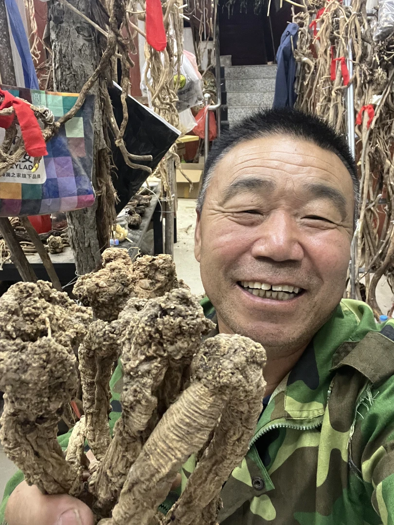 【野党参全链接】甘肃发货无硫可搭配枸杞泡水、煮水、煲汤