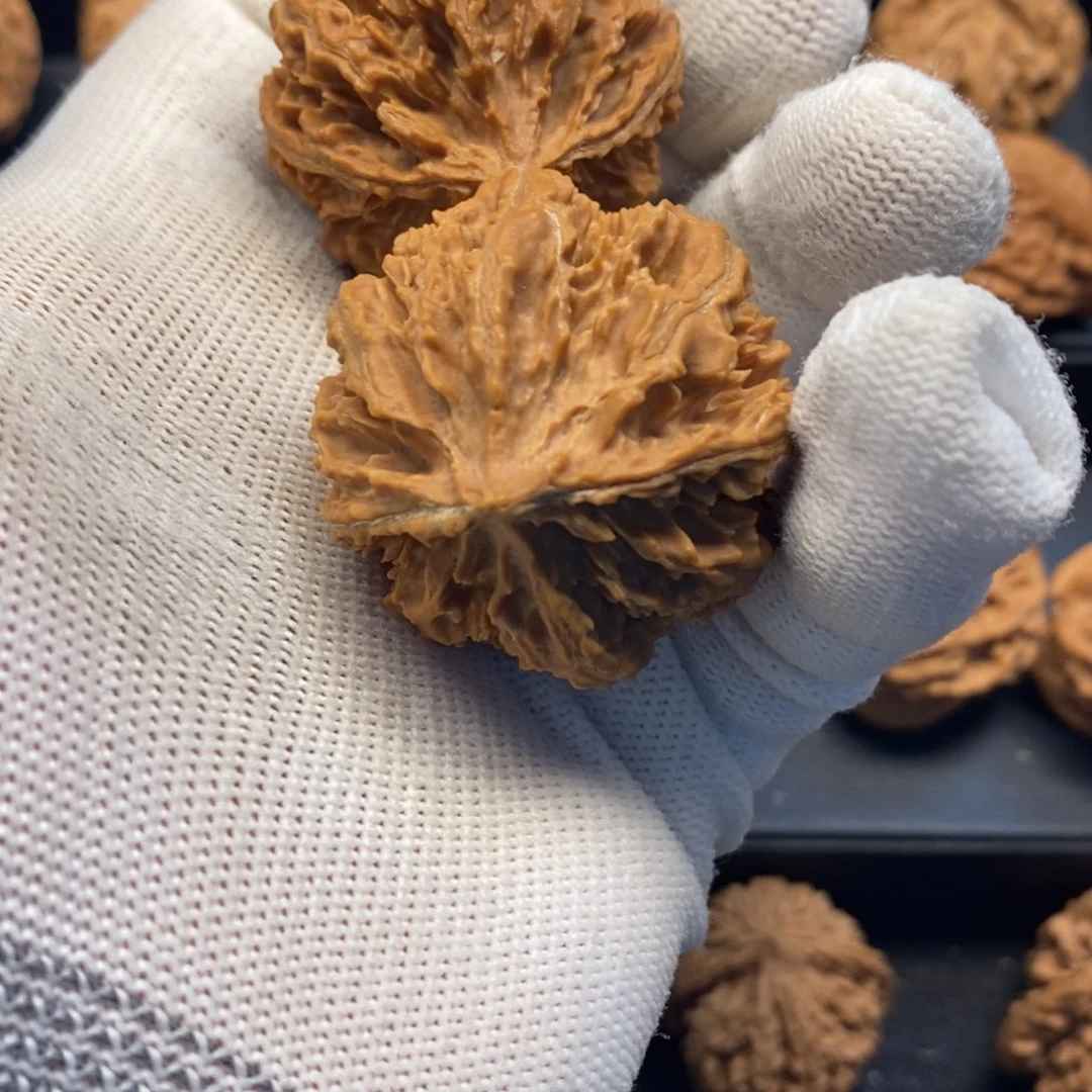 用****7秦岭南北缘是个美丽动人之