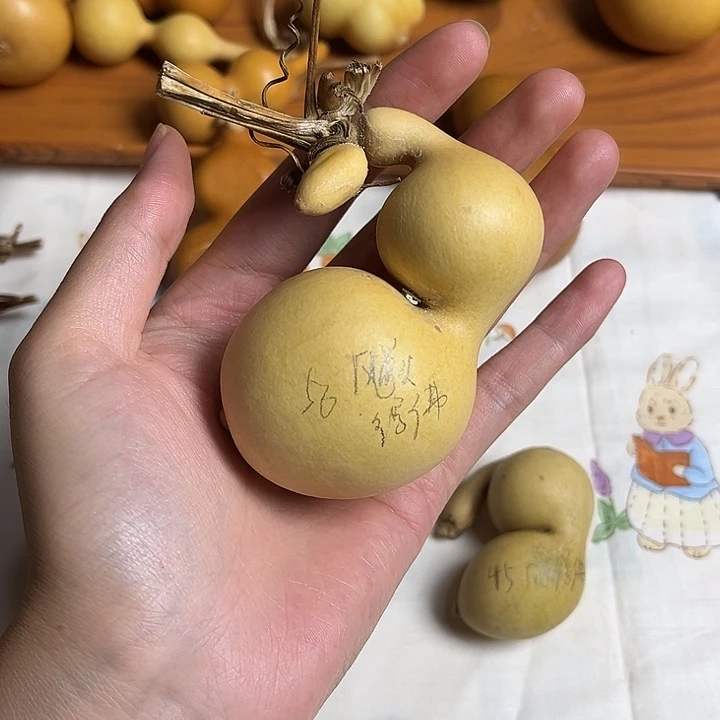 飚***佛佛的蚂蚁呀哈哈哈哈