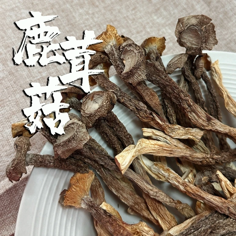 2025年东北新鹿茸菇250克晒干煲汤炒菜炖菜
