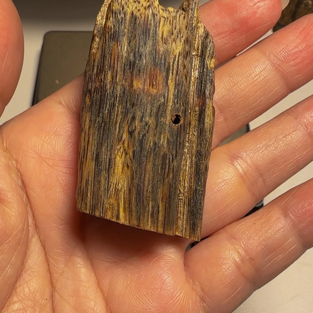 木用****7陆河虫漏11.8克