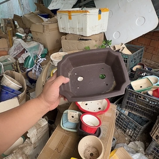 你就在家里待不着啦哈你