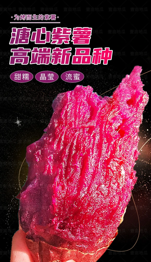 （小丫家）云南高山农家水晶溏心紫金蜜薯泰紫紫美人甜蜜薯烤薯