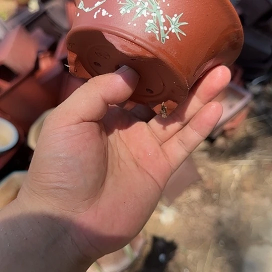 这几句真的好好啊哈哈好好听