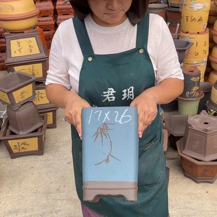 紫砂花盆紫砂花盆盆栽花卉