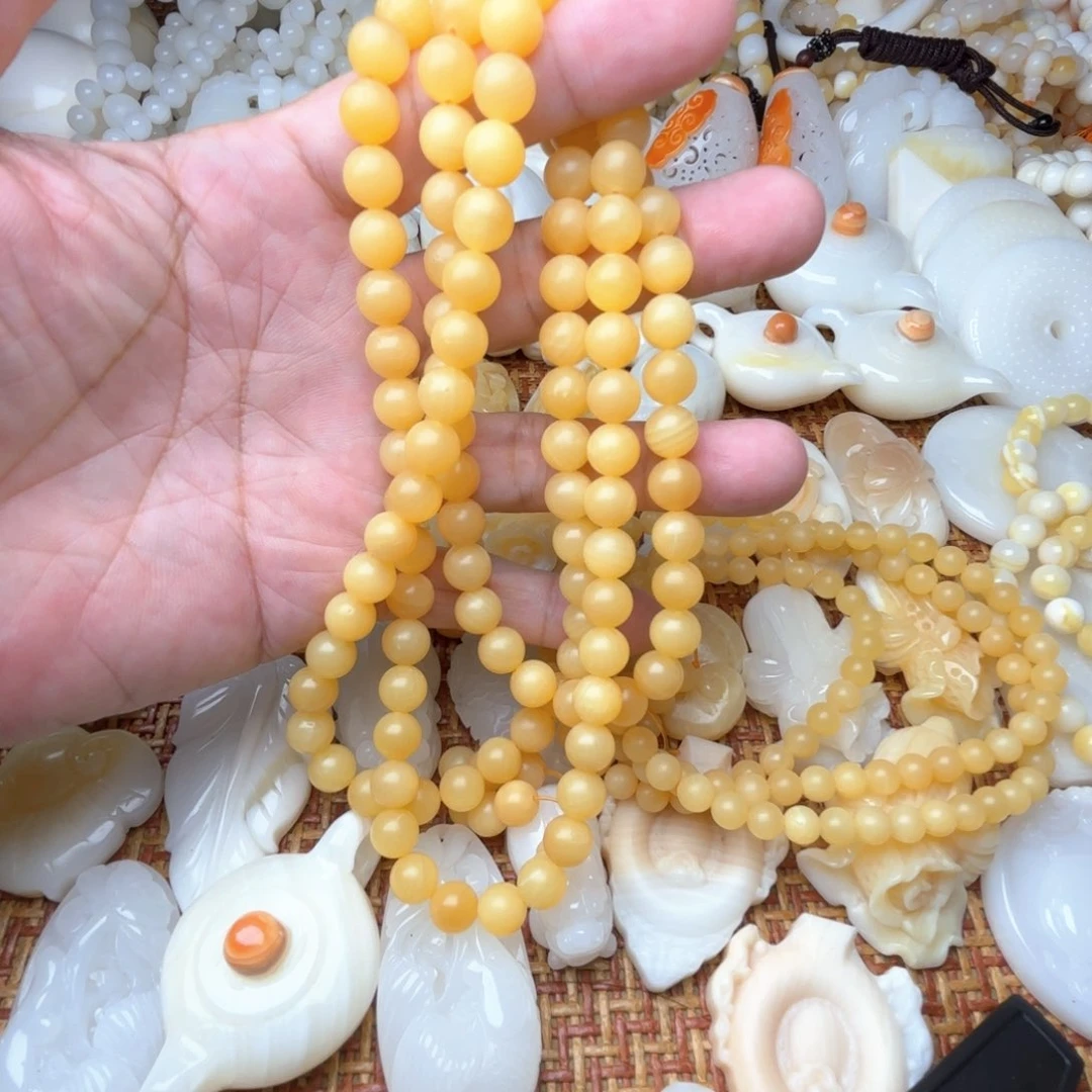 小***物贝壳非金属天然贝壳