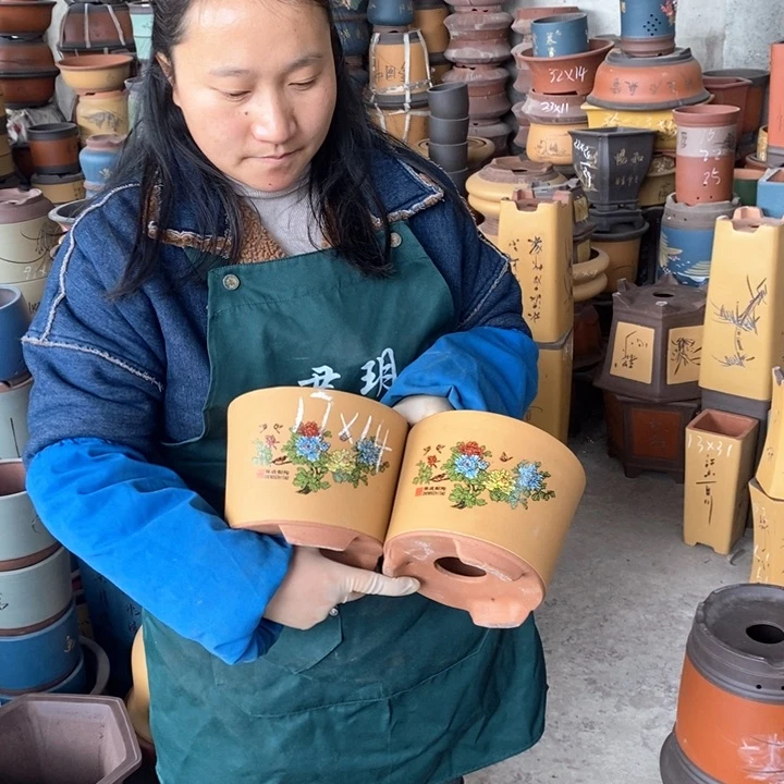 紫砂花盆盆栽花卉苗木种植