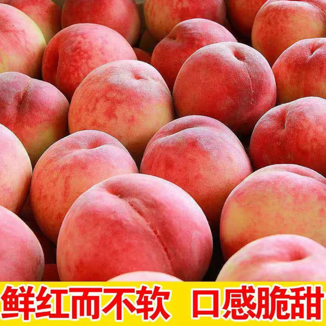 【山南同城配送】新鲜水蜜桃应季水果毛桃桃子水果鲜桃脆甜2斤到4斤云南省