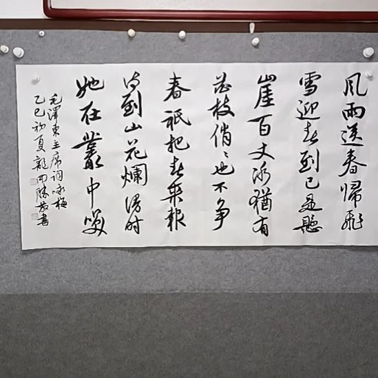 书法四尺横幅咏梅书法作品