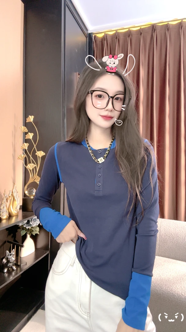 中长款长袖休闲风宽松型抗皱T恤ins秋季春季休闲百搭DDS155