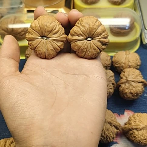 文玩核桃吊坠y**u南瓜墩