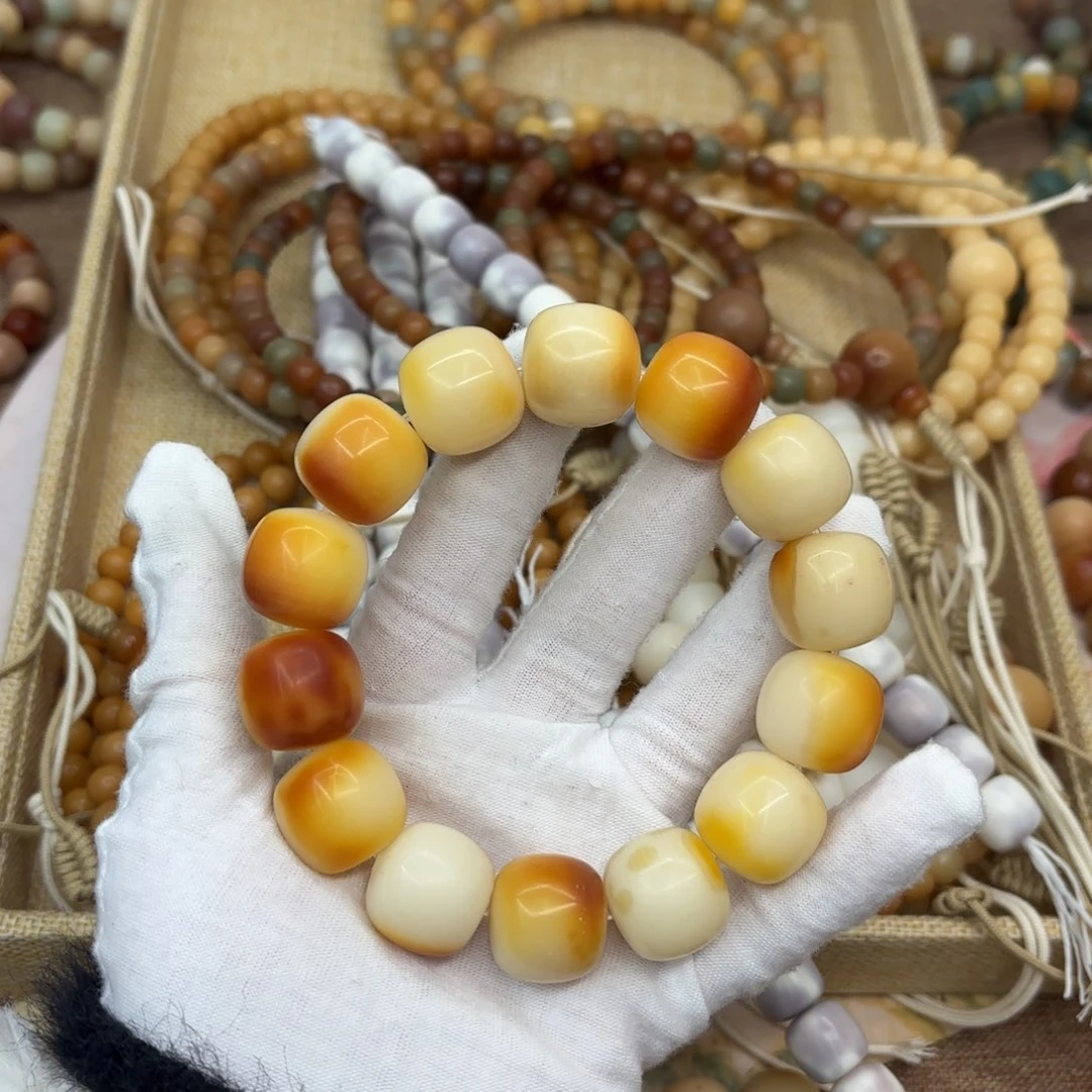 吊坠菩提根/象牙果19干磨瑕疵落地果539