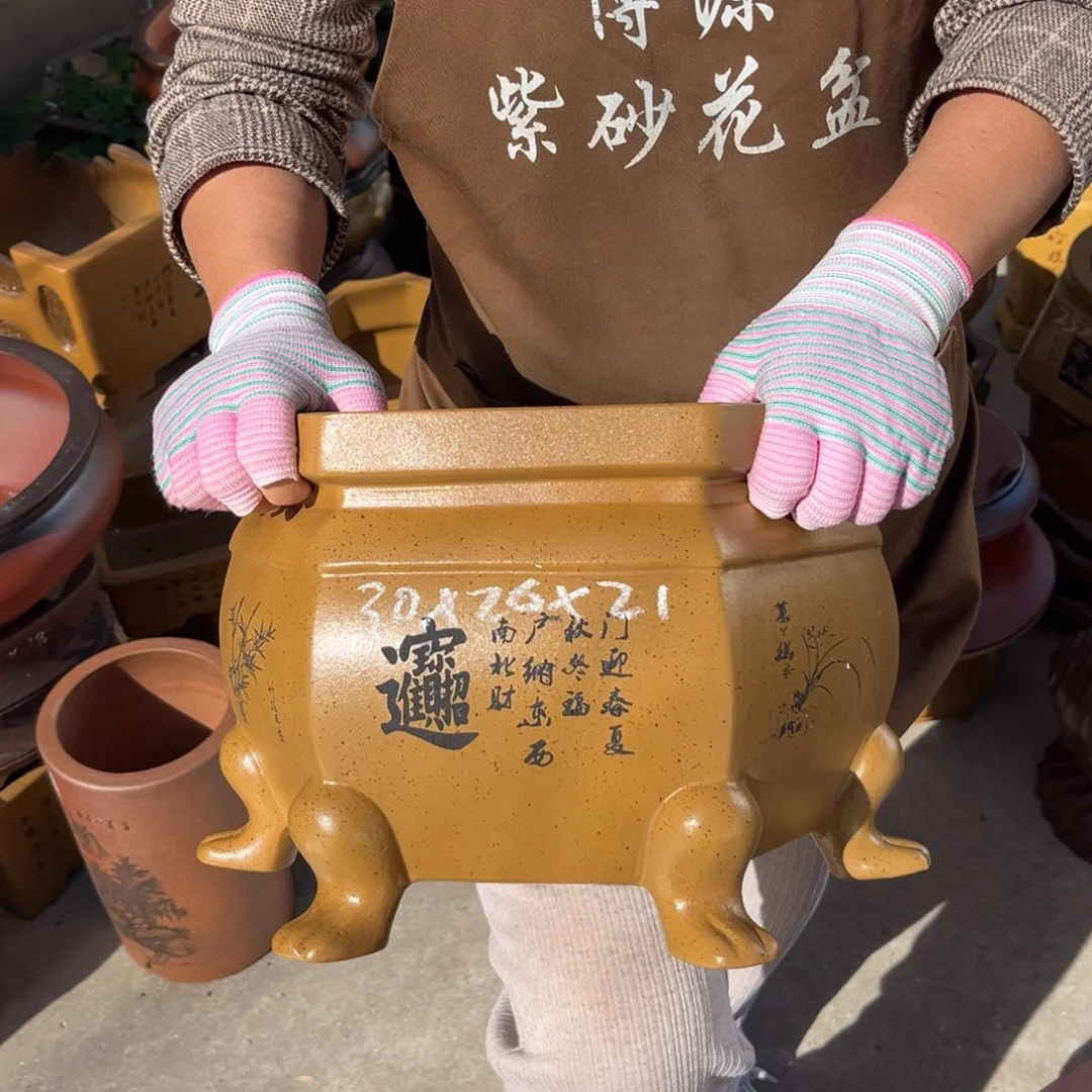 花盆紫砂盆景艺术