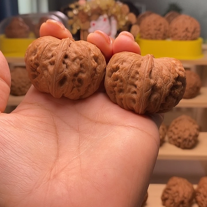核桃45尺寸的大元宝