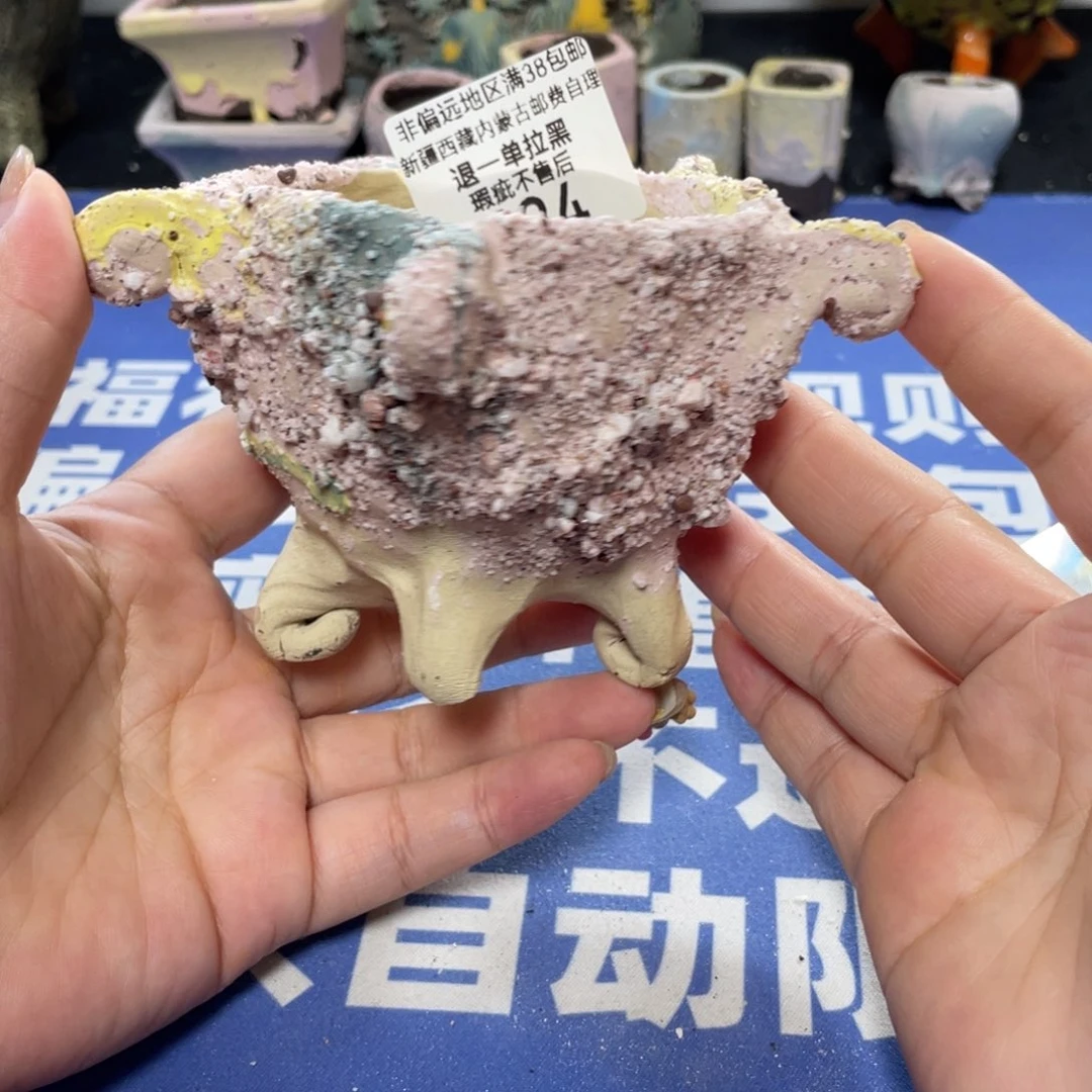 特价微瑕疵不退不换哦434