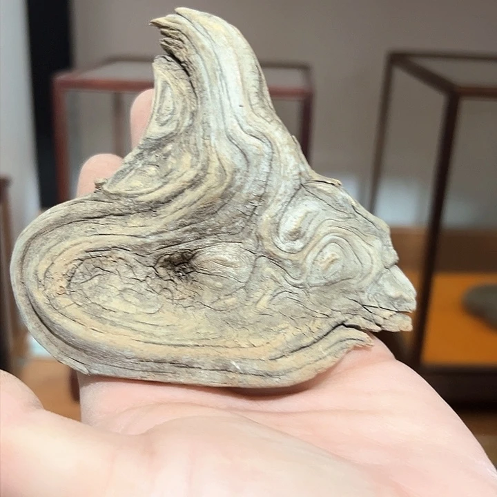 柏木一****刻我们的生活也是如此的