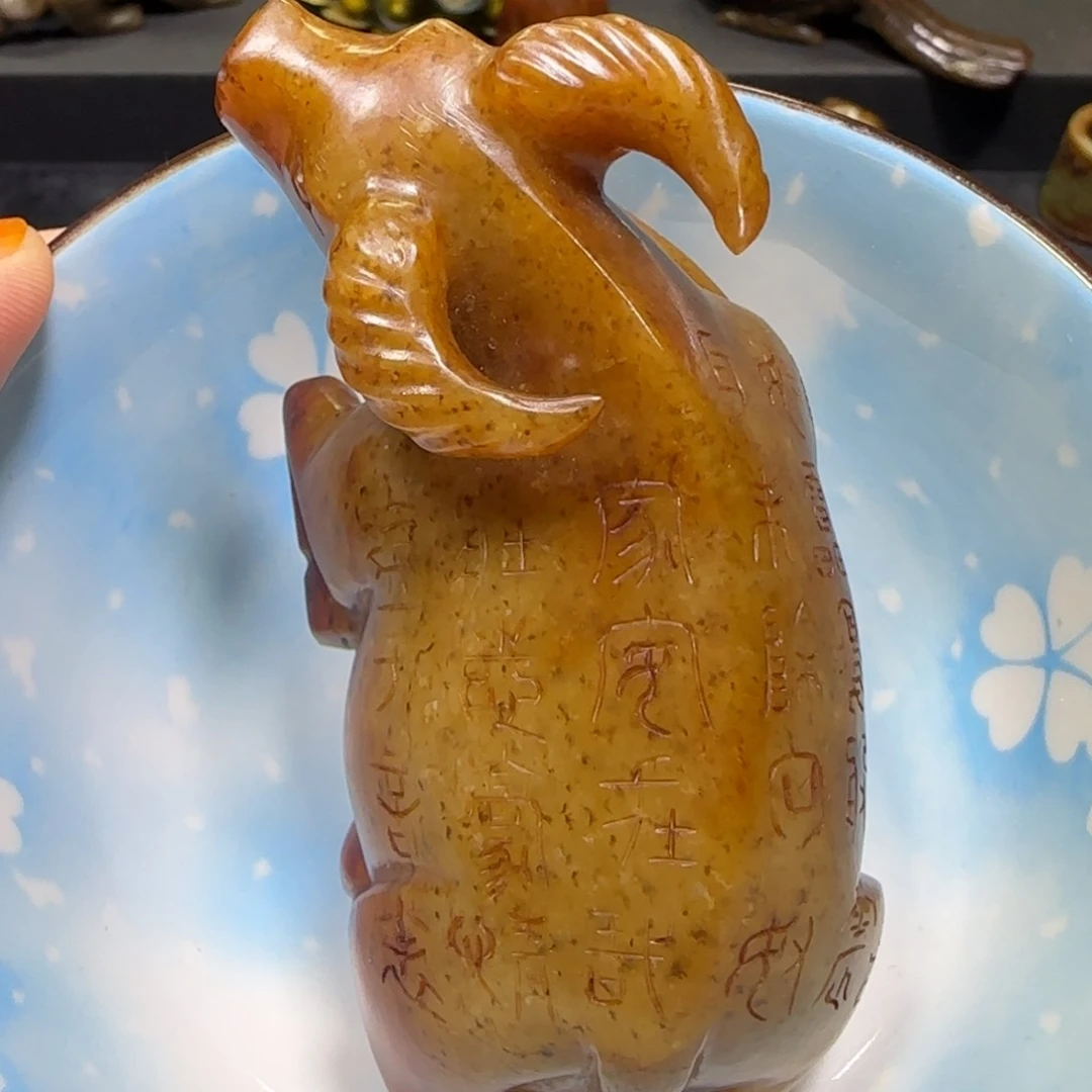 瓷@***5新号开播一漏到底