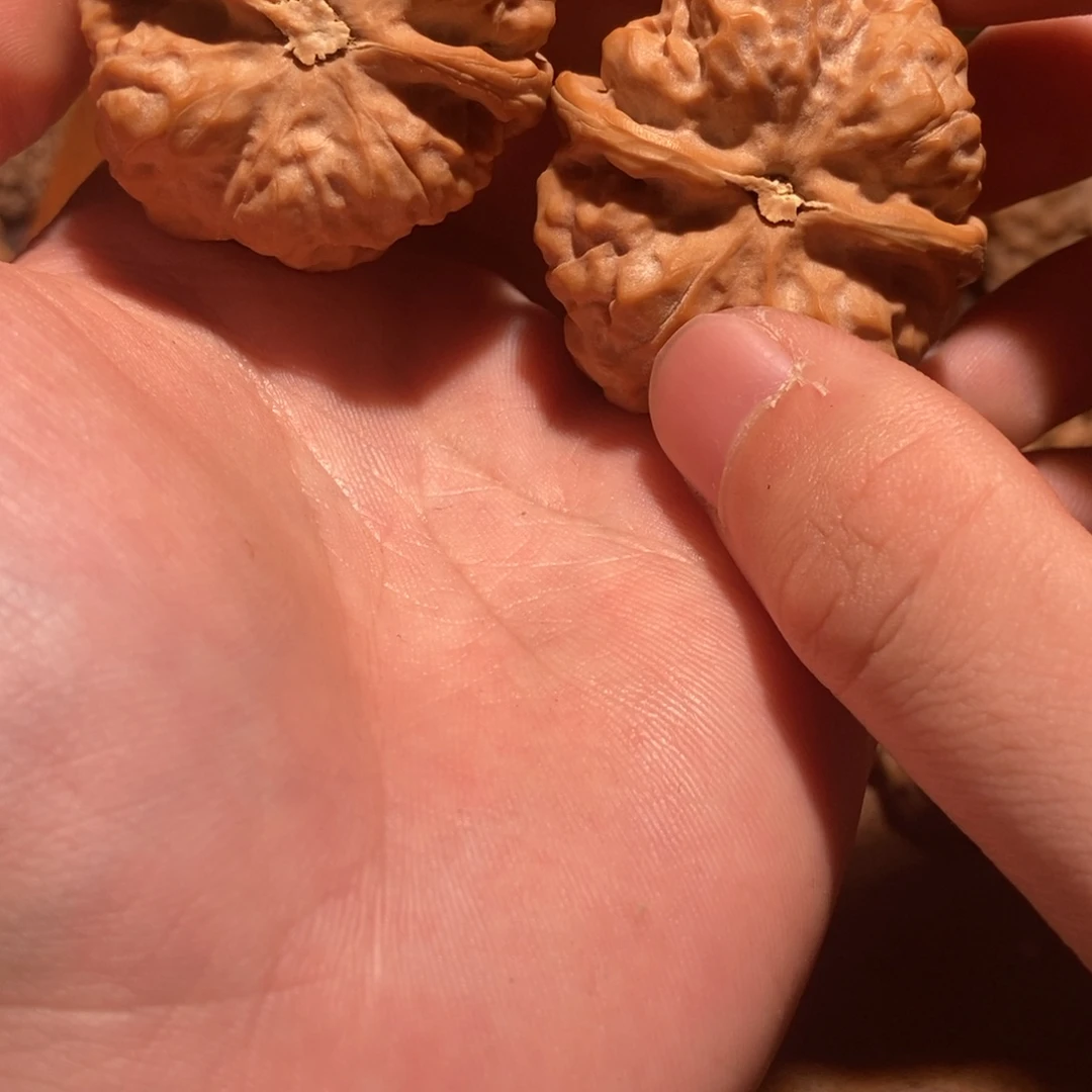 帮***堡文玩核桃吊坠蛤蟆头D42