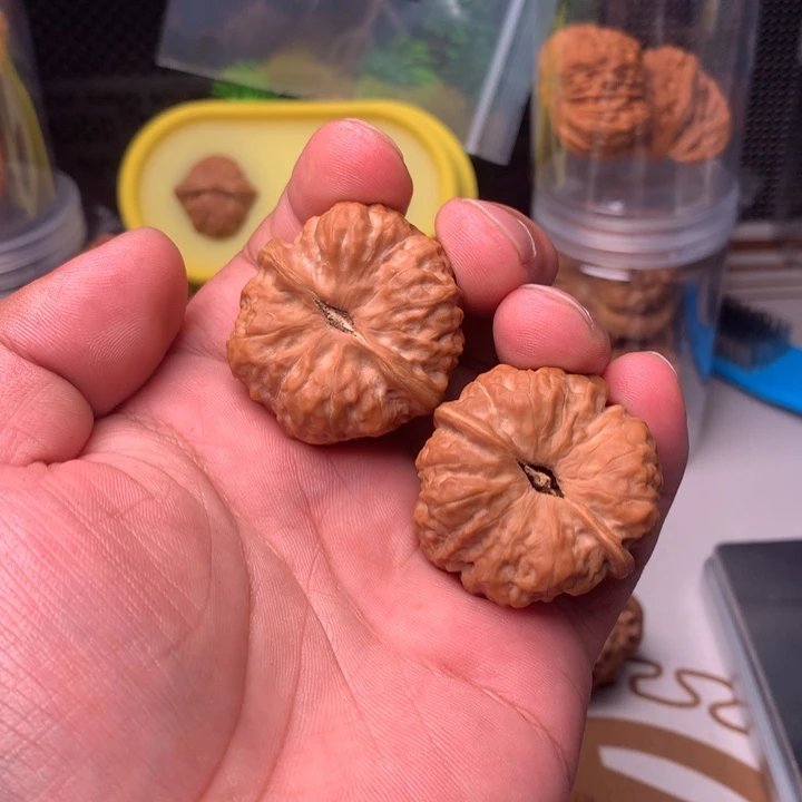 文玩核桃吊坠蛤蟆头