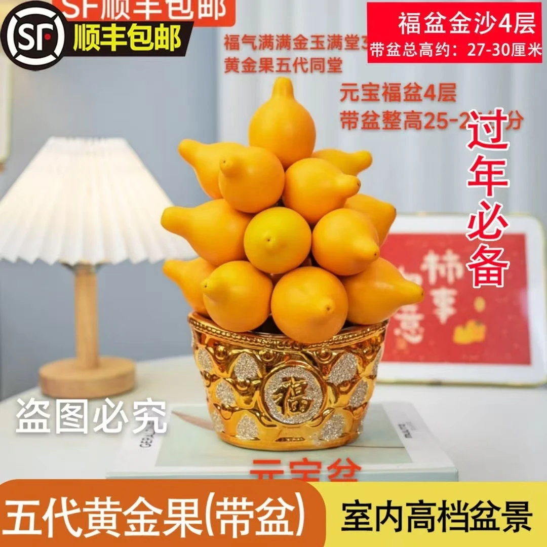 盆栽五代果黄金果塔型室内观果植物年宵摆件乳茄小猪佩奇耐看网红