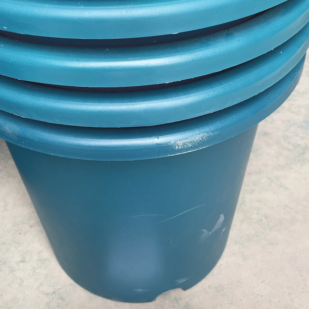 编号是92号的92号的