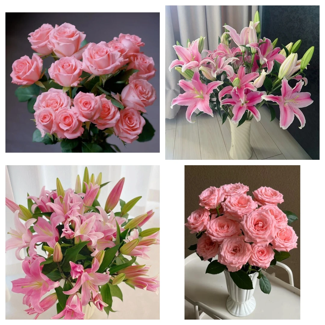 【10枝粉玫瑰+8-10朵百合】任意拍两单升级冷链或空运