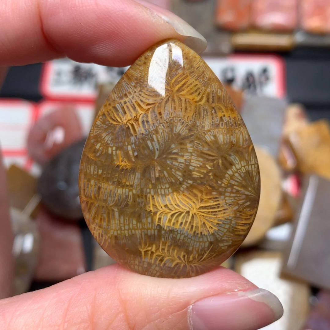 【闪购商品】未镶嵌颈饰硅化玉T***y