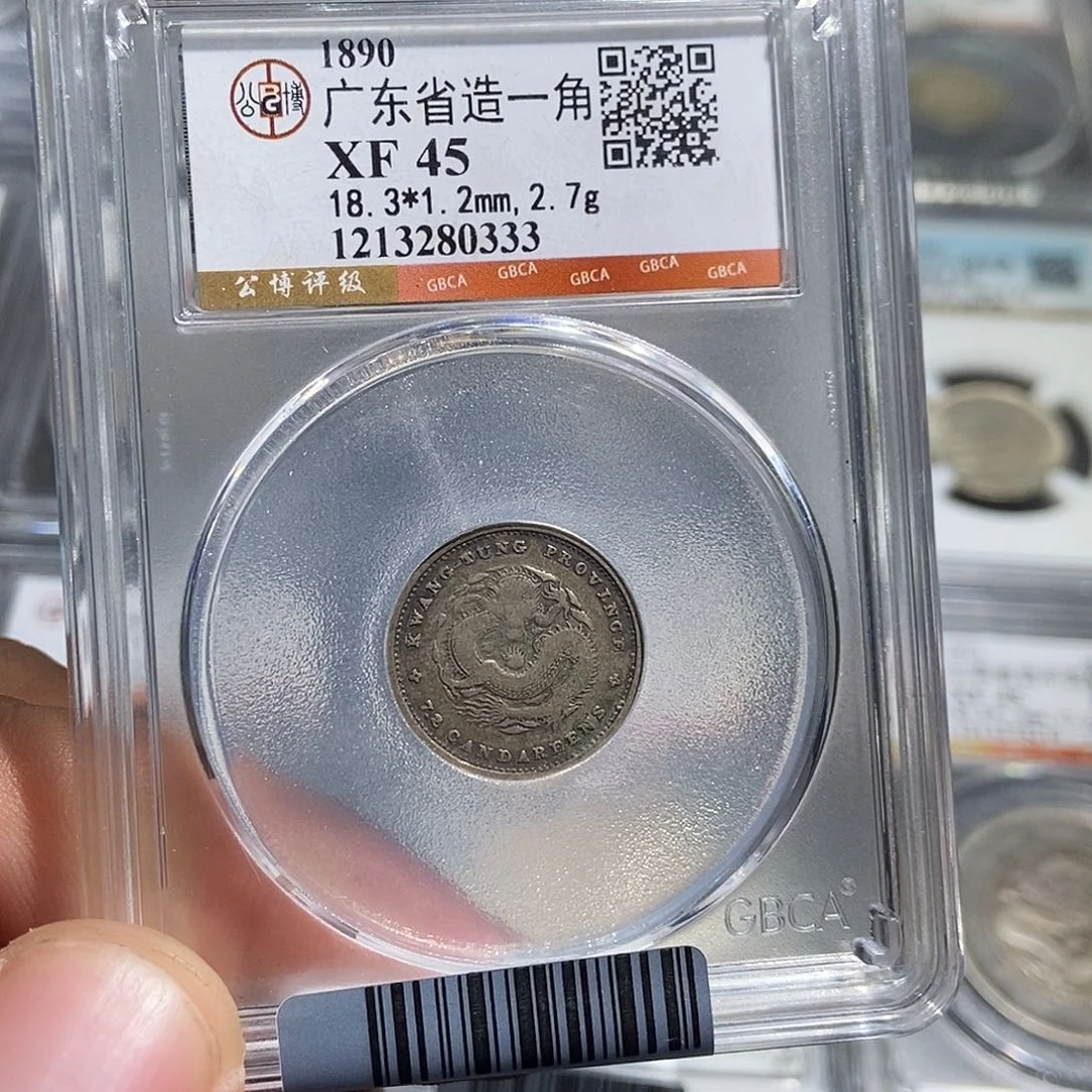 银大头广东一角龙0333