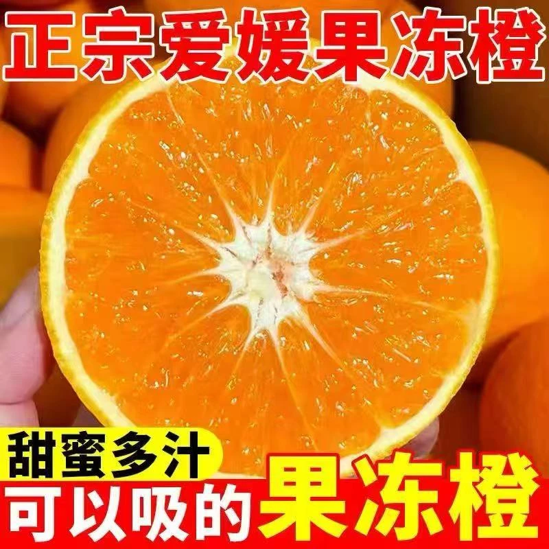四川眉山爱媛果冻橙新鲜采摘自家种植发货