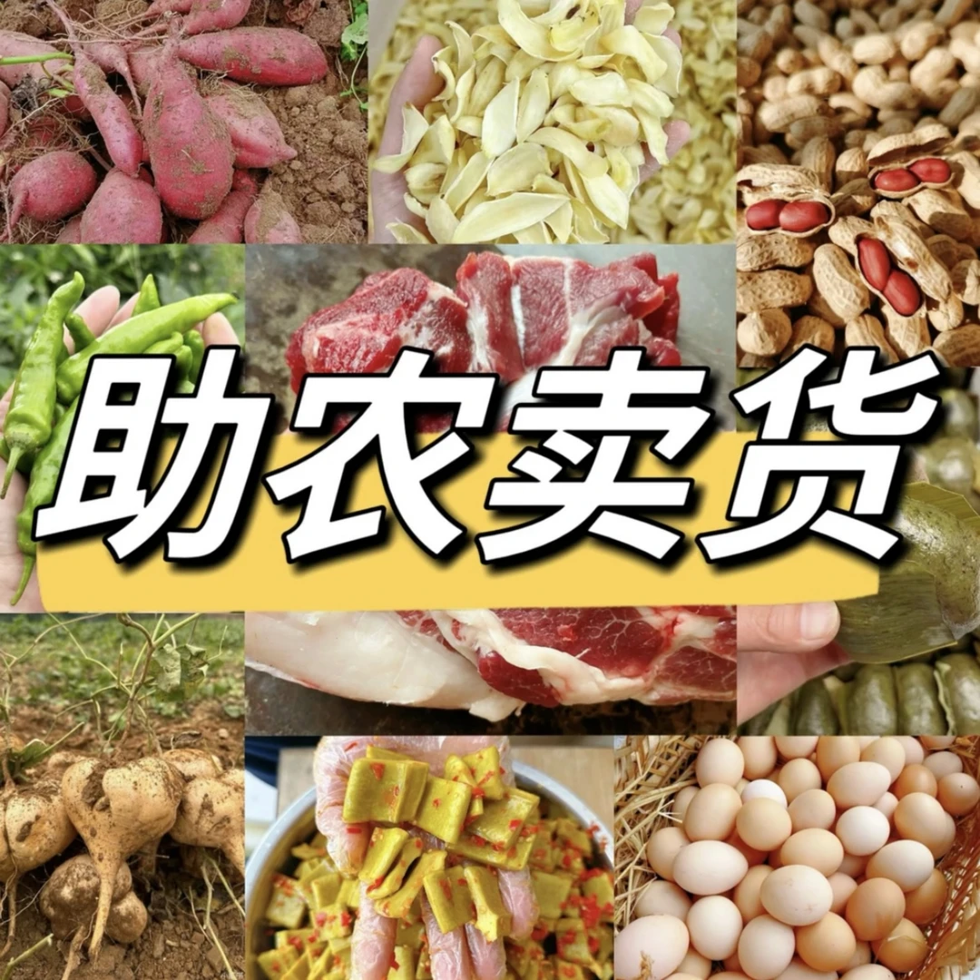 【丁丁家】湖南新化农产品山货