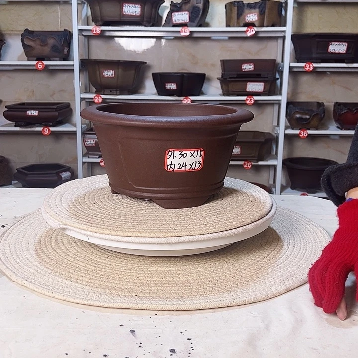 紫砂花盆紫砂花盆